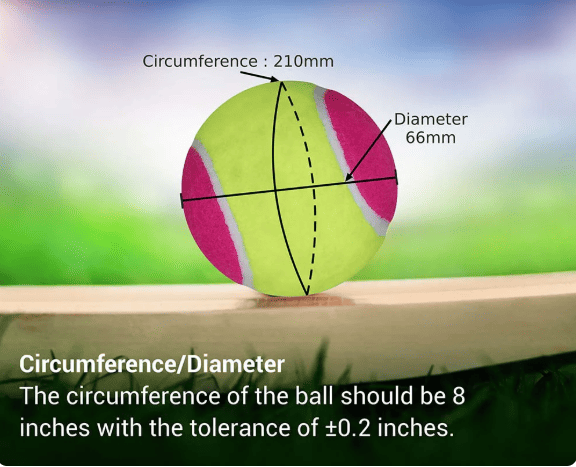 NIVIA Cricket Tennis Ball Light in neon green and pink displayed on a wooden surface with measurement markings showing a circumference of 210 mm and a diameter of 66 mm. Text notes: “Circumference/Diameter – The circumference of the ball should be 8 inches with the tolerance of ±0.2 inches.
