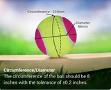 NIVIA Cricket Tennis Ball Light in neon green and pink displayed on a wooden surface with measurement markings showing a circumference of 210 mm and a diameter of 66 mm. Text notes: “Circumference/Diameter – The circumference of the ball should be 8 inches with the tolerance of ±0.2 inches.