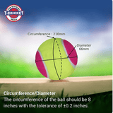 NIVIA Tennis Ball Heavy WT shown with measurement graphics indicating 210 mm circumference and 66 mm diameter, along with text stating the ball should measure 8 inches in circumference with a tolerance of +0.2 inches, highlighting official T-Cricket heavy specifications for practice and training use.